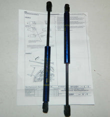 GM Trunk struts hatch shocks for 2005-2007 Chevrolet Cobalt, Pontiac G5 and Pursuit w/Spoiler Montana Blue paint code 21U 17801799